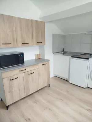 Cuisine ou kitchenette dans l'établissement Petit nid Dacquois