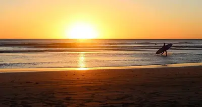 Plan de l'établissement Studio SurfNature : Plages et forêt à 200m