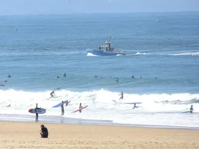 Plan de l'établissement Studio SurfNature : Plages et forêt à 200m