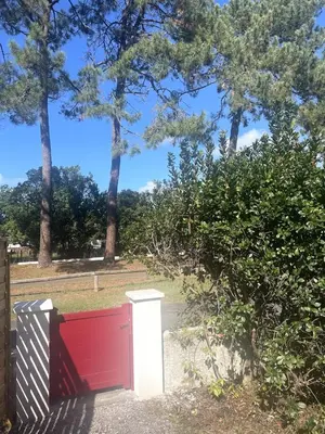 Jardin de l'établissement Magnifique maison neuve Mimizan plage entre pins et océan