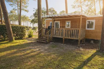 Jardin de l'établissement Mobil-home neuf sous les pins, à proximité des infrastructures