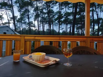 Boissons dans l'établissement Superbe mobil-home à Seignosse plage