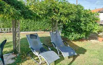Jardin de l'établissement Maison Avec Piscine