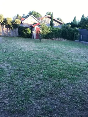 Jardin de l'établissement Maison Arcachon avec jardin