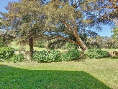 Jardin de l'établissement Appartement T2 pour 4 pers. à Moliets avec terrasse - FR-1-857-11
