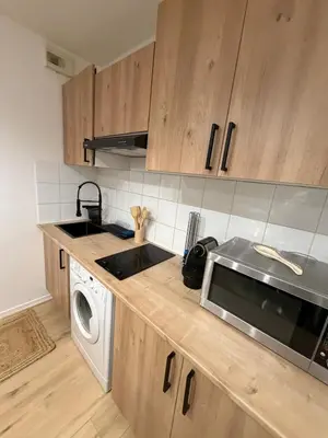 Cuisine ou kitchenette dans l'établissement T2 Cozy entre plage et lac