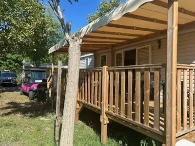 Jardin de l'établissement Mobil home au coeur des Landes Camping 4 étoiles