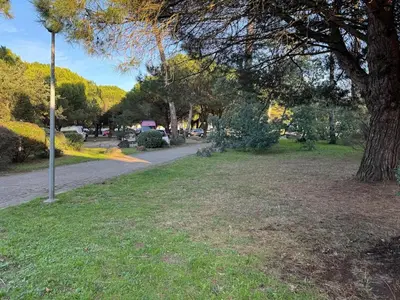 Jardin de l'établissement Swell Patio - 5 minutes à pied du centre d'Hossegor