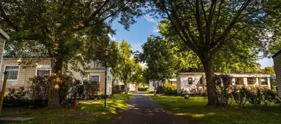Jardin de l'établissement Grand Mobil-home 262