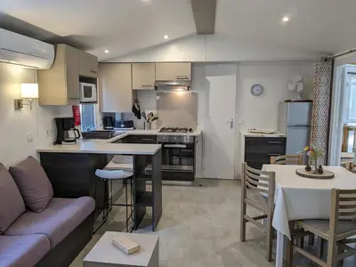 Cuisine ou kitchenette dans l'établissement Grand Mobil-home 262