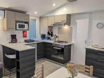 Cuisine ou kitchenette dans l'établissement Grand Mobil-home 262