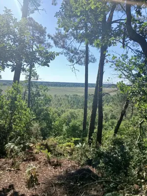 Paysage naturel près de le camping