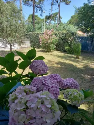 Jardin de l'établissement Niarella