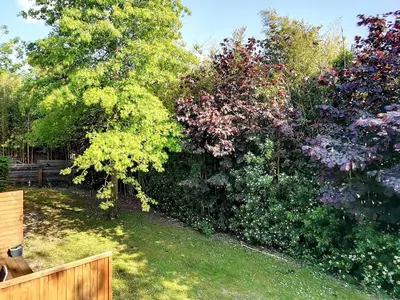 Jardin de l'établissement Appartement lumineux à Messanges - 4 pers, animaux admis, parking - FR-1-857-62