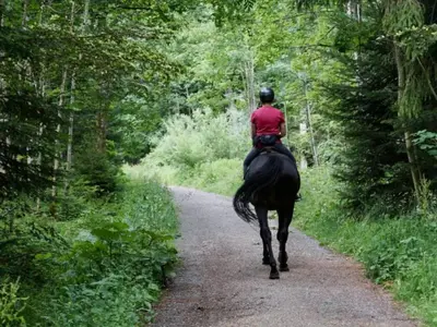 Équitation au sein de le camping ou à proximité