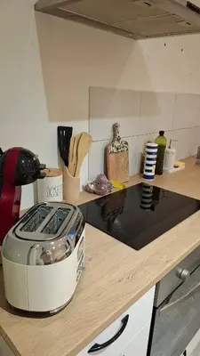Cuisine ou kitchenette dans l'établissement Bel appartement à Dax