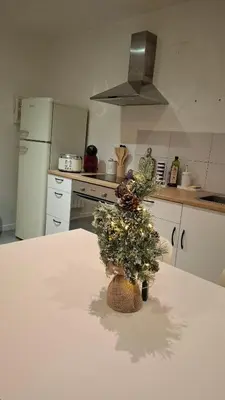 Cuisine ou kitchenette dans l'établissement Ateka 2 appartements 4 chambres