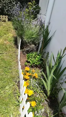 Jardin de l'établissement Residencia Odyssee