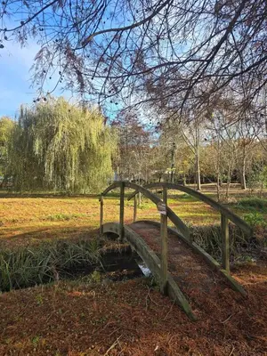 Jardin de l'établissement Appartement T2 avec terrasse