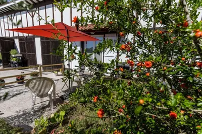 Jardin de l'établissement la resiniere