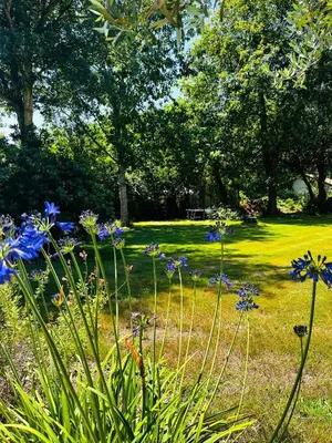 Jardin de l'établissement Maison de maître