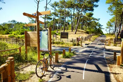 Vélo sur le terrain de l'établissement SevServices à La Plage ou dans les environs
