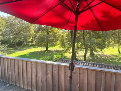 Jardin de l'établissement 2 chambres près Contis Plage