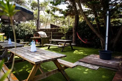 Jardin de l'établissement SURFinn Vieux Boucau