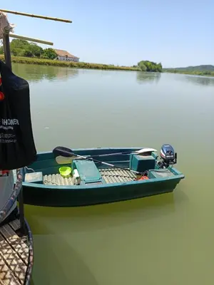 Vue sur la rivière ou le fleuve situé(e) à proximité de le bateau