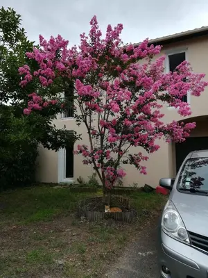Jardin de l'établissement Maison familiale proche océan