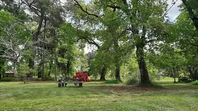 Jardin de l'établissement Authentique maison landaise