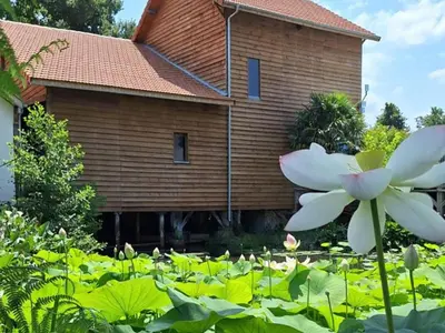 Jardin de l'établissement Gîte accueillant avec terrasse à Saint-Julien-en-Born - API-1-52-706