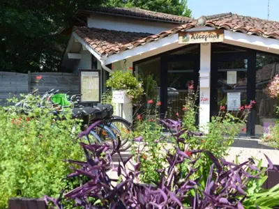 Jardin de l'établissement Mobil home confortable avec terrasse - API-1-52-1614