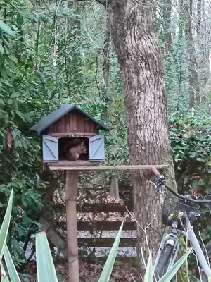 Plan de l'établissement Cabane planquée tout confort, havre de paix , nature
