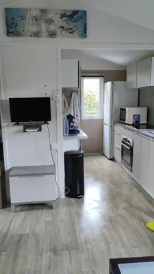 Cuisine ou kitchenette dans l'établissement Mobil-home alex