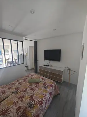 Télévision ou salle de divertissement dans l'établissement Appartement proche Dune du Pilat