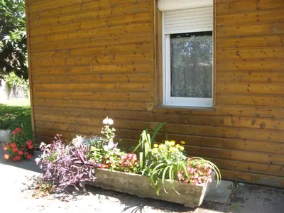 Jardin de l'établissement La Petite Mongesse