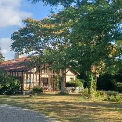 Ocean et Forêt