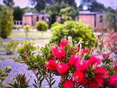 Jardin de l'établissement COTTAGE VIP du Bassin