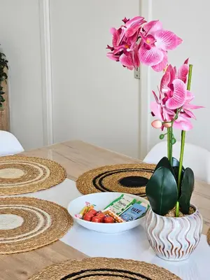 Nourriture dans l'appartement ou à proximité