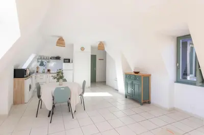 Cuisine ou kitchenette dans l'établissement Magnifique 2 pièces lumineux avec ascenseur face au Jardin Public et Thermes au cœur de la ville