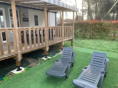 Jardin de l'établissement Mobile Home grand confort 4 à 6personnes au bord du lac de Biscarosse camping 4 étoiles