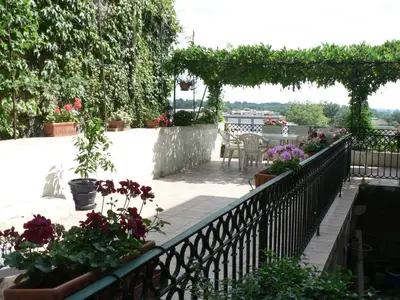 Jardin de l'établissement La Terrasse de la Grand'Rue - chambre d'hôtes -