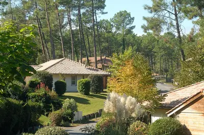 Jardin de l'établissement Madame Vacances Villas la Clairière aux Chevreuils