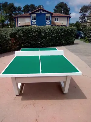 Tennis de table au sein de l'établissement Résidence Mes Amours d'Enfants - Les Villas du Lac ou à proximité