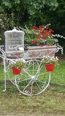 Jardin de l'établissement La Belle Chaumière