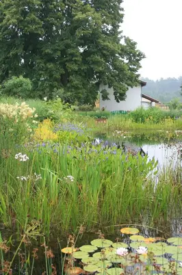 Paysage naturel près de la maison de vacances