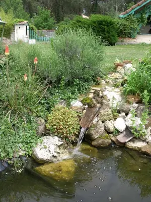 Jardin de l'établissement Les Hôtes Landes