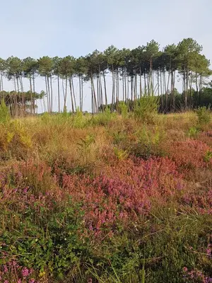 Paysage naturel près de la maison d'hôtes