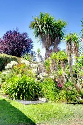 Jardin de l'établissement 3 chambres d'hôte de charme et chambre de luxe indépendante Ô Bois Plage